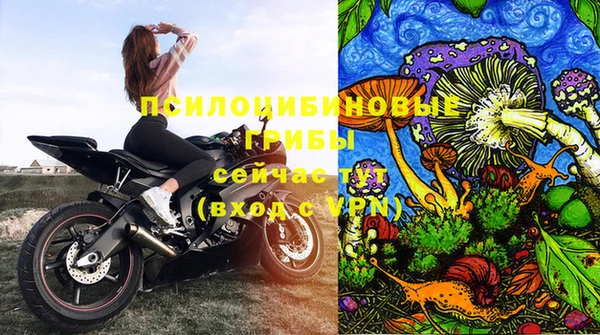 винт Ростов