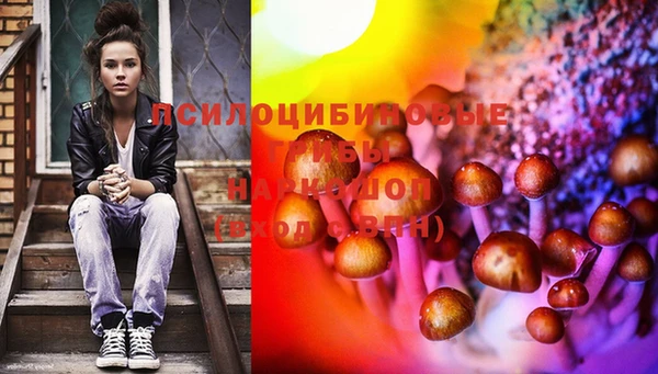 марки lsd Рославль