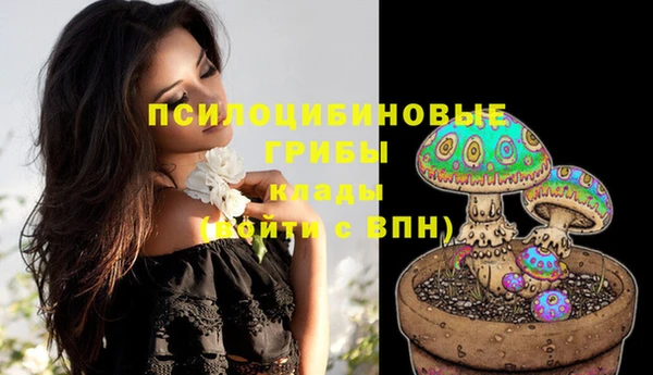 винт Ростов