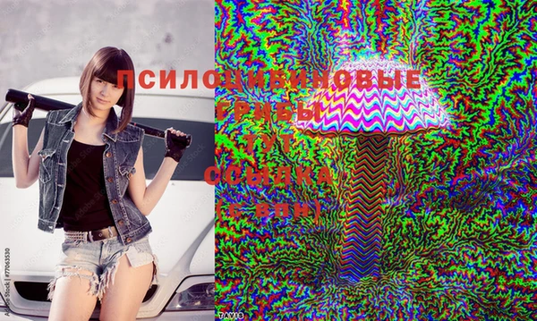 метадон Россошь