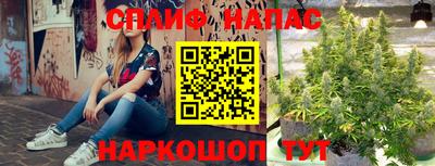 трава Кинель